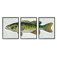 Stupell Göl Evi Bas Balık Yaban Hayatı Hayvanlar ve Böcekler Boyama Siyah Çerçeveli Sanat Baskı Duvar Sanatı, 3 Set