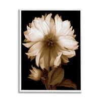 Stupell Modern Sepya Anne Çiçek Botanik ve Çiçek Fotoğrafçılığı Beyaz Çerçeveli Sanat Baskı Duvar Sanatı